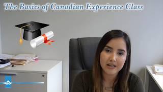 The Basics of Canadian Experience Class | Express Entry | How to increase your Points!