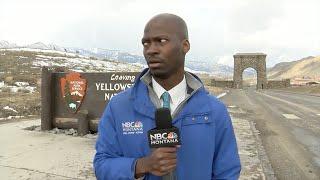 'I ain't messing with you': Reporter flees after spotting herd of bison I ABC7