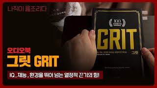 그릿 GRIT｜오디오북｜책읽어주는남자｜책 추천｜잠들기 전｜수면유도｜자기계발