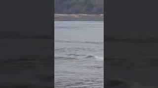 Surfers ‍️   on the Wild west coast of Canada  