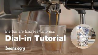 beanz.com | How to dial-in Belly Warmer espresso using the Barista Express® Impress | Breville USA