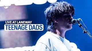 Teenage Dads - 'Teddy' live at Laneway 2024