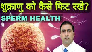 SPERM HEALTH || शुक्राणु को कैसे फिट रखे? || Dr Kumar Education Clinic