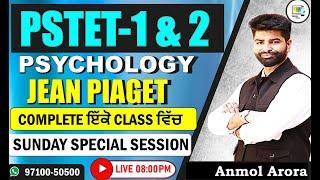 Jean Piaget ਦੀ Complete Theory ਇੱਕ ਹੀ Video ਵਿੱਚ || PSTET 2024 Psychology | CDP | TET BUZZER Academy