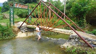 TIMELAPSE: 30 DAYS START TO FINISH Alone Build A Bridge Across A Stream To Avoid Flooding