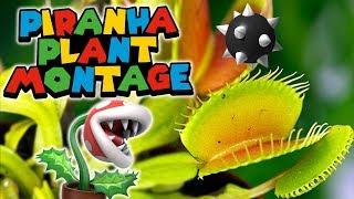 Plant Gang Attacks [Piranha Plant Montage]