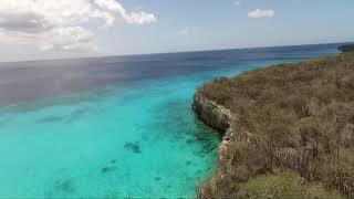 Curacao Dreams Travel - Sea turtle & Beach Tour