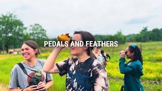 Pedals and Feathers - a bikepacking and birding short film