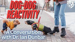 Dog-Dog Reactivity - A Conversation With Dr. Ian Dunbar