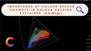 IMPORTANCE OF COLOUR SPACES & GAMUTS IN COLOUR GRADING | EXPLAINED (മലയാളം)