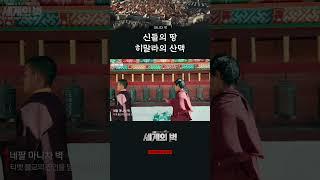 세계의 지붕의 모습은? [특 G1.P 숏다큐] / 세계의벽