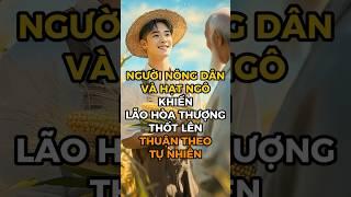 Thuật Cổ Nhân: Người Nông Dân Và Hạt Ngô Khiến Lão Hòa Thượng Thốt Lên: "Thuận Theo Tự Nhiên!"