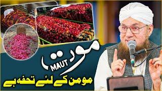 Maut Momin K Liye Tuhfa Hy | Abdul Habib Attari | Sunnato Bhara Bayan