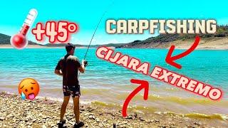 BARBOS DEL CIJARA EN VERANO | CARPFISHING