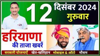 12 December 2024 Haryana News || हरियाणा की ताजा खबरें || Haryana Live News || CWB Hindi News