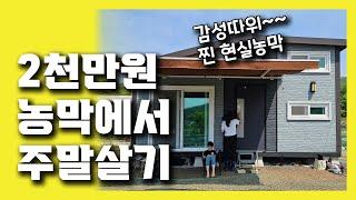 2천만원 농막에서 주말 살기 / 5도2촌, 주말농장족의 농막 내부 생활 파헤치기