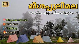 Meeshapulimala | മീശപ്പുലിമല | Meesapulimala trekking