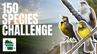 Can We Find Over 150 Bird Species in One Day? (Spring Big Day Challenge)