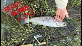 Buzz Bomb Life - River fishing trip opening day in Alberta