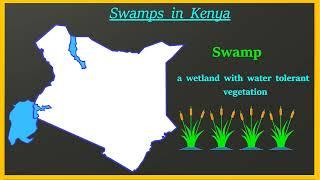 Swamps in Kenya