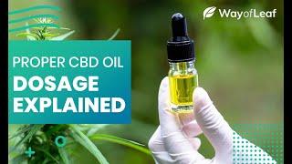 Proper CBD Oil Dosage Explained - How Much CBD Oil Should I Take?