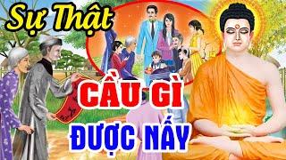 Sự Thật Đằng Sau Câu Chuyện, Cầu Gì Được Nấy | Nhân Sinh Cảm Ngộ - Chuyện Nhân Quả Báo Ứng Hiện Đời