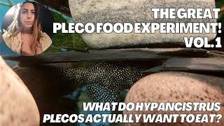 What do Hypancistrus actually want to eat? The Great Pleco Food Experiment | Vol.1