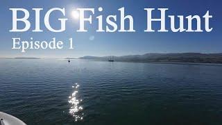 2024 BIG Fish Hunt Starts Here! - Welsh Monsters, Small Boat Sea Fishing