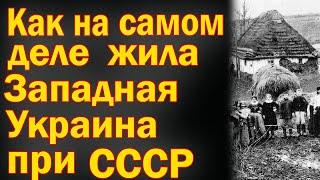 Как жила на самом деле Западная Украина при СССР