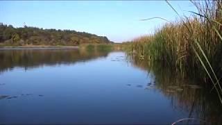 Ловля щуки в октябре