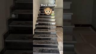 Black Granite Staircase #qualitymarble #marble #black #staircase #interiordesign #howto