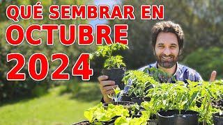 Calendario de Siembra 2024: Que sembrar en OCTUBRE en el Huerto de Otoño y de Primavera