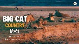 Strength in Sisterhood - Big Cat Country 2, हिन्दी डॉक्यूमेंट्री | Wildlife documentary in Hindi