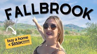 Country Living in San Diego County | FALLBROOK, CALIFORNIA | North County San Diego