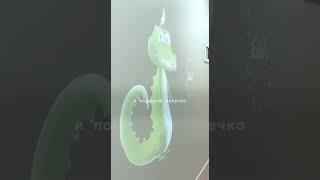 Как мы встречаем маленьких пациентов в Inwhite Medical Kids