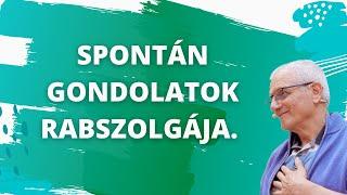 Spontán gondolatok rabszolgaságában