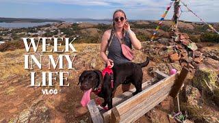 Hiking, Harvests & Exciting Packages! | VLOG