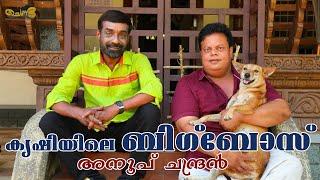 അനൂപ് ചന്ദ്രന്റെ പശു ഫാമും പച്ചക്കറി കൃഷിയും | SAJAN PALLURUTHY | ANOOP CHANDRAN | CHENDA | 2022