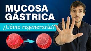 ¿CÓMO REGENERAR la MUCOSA GÁSTRICA?  (Método 3+2) RECUPERA tus DIGESTIONES