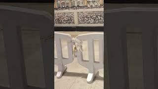 Shorts | Makkah | Viral | YouTube shorts | Viral video | Saudi Arabia