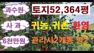 평당16,000원 토지52,364평 연간6,000만원#귀농귀촌 #과수원 #수익형부동산 #사과농장 #영주부동산 #양평부동산 관리사 방2개 사과750주/매8억5천/매물번호:32252