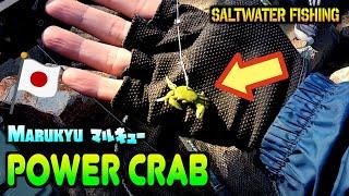 Fish loves Crab? Marukyu Power Crab