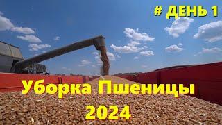 УБОРКА ПШЕНИЦЫ 2024 /Самый ранний Старт Уборки Озимой Пшеницы на Моей Памяти /СТРАДА НА КУБАНИ