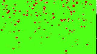 heart falling green screen background video | screen magic | green screen video | green effect