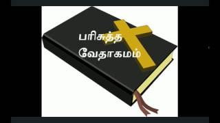 About Holy Bible in Tamil - பரிசுத்த வேதாகமம்.