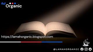 قصة الرجل الحكيم l قصص وعبر