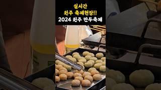 실시간 2024 원주 만두축제 맛있는 만두가 가득해요! #강원도 # 축제 #원주 #원주여행 #지역축제 #만두 #맛집 #원주맛집