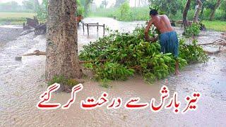 Heavy Rain In Punjab Village | Daily Pakistan Life