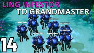 THIS STRATEGY IS SO GOOD!!! (Ling Infestor to GM #14)