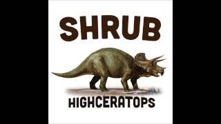 Shrub - I Dub It For Us (Dubmatix Remix) (Official)